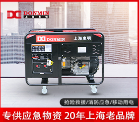 東明單相10kw小型應急便攜式柴油發電機組 DMD12000LE/YJ